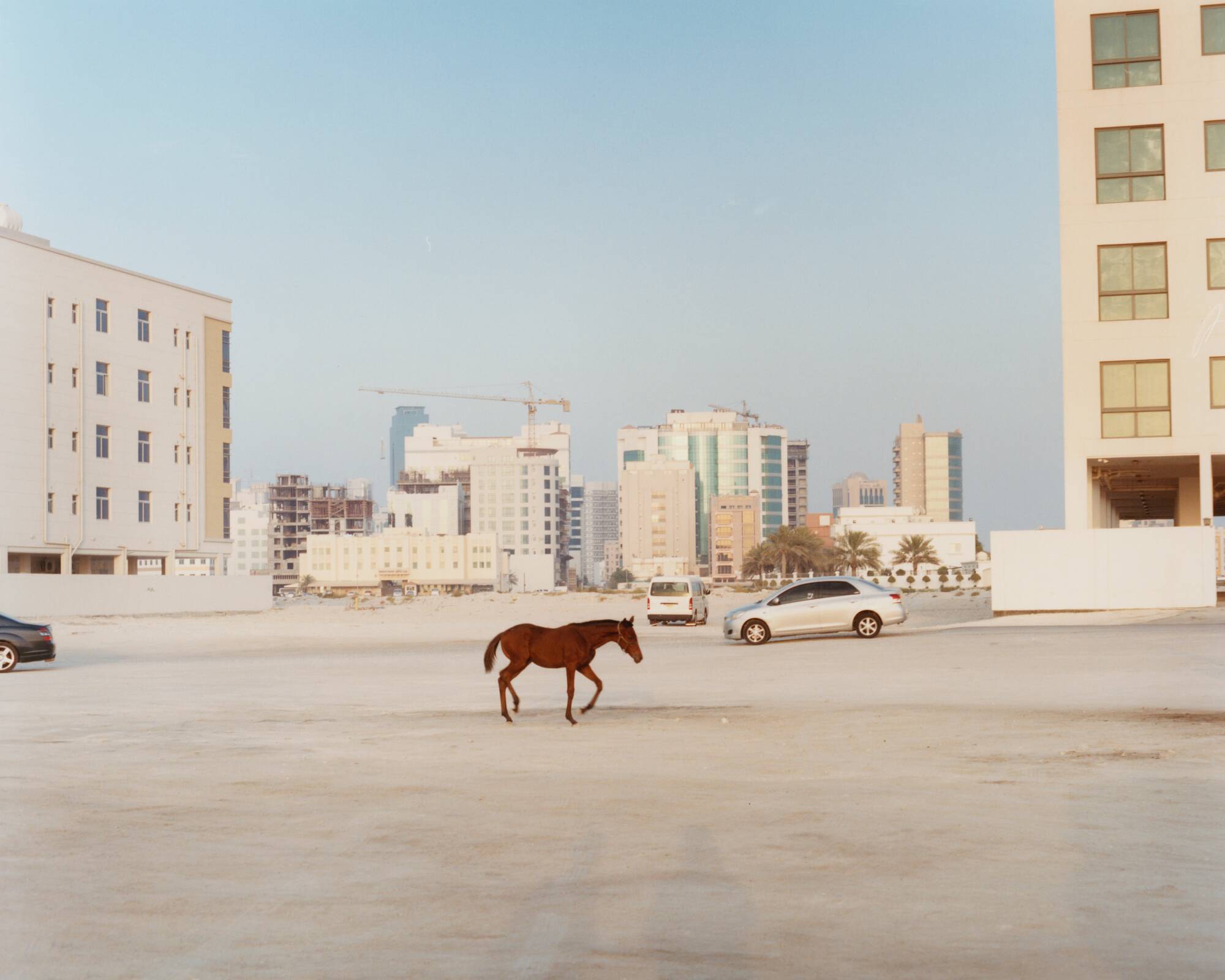 Places II Documentary